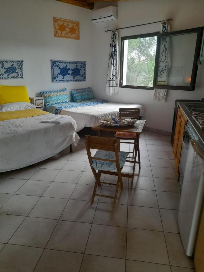 Giardino Del Sole Bed & Breakfast Olbia Dış mekan fotoğraf