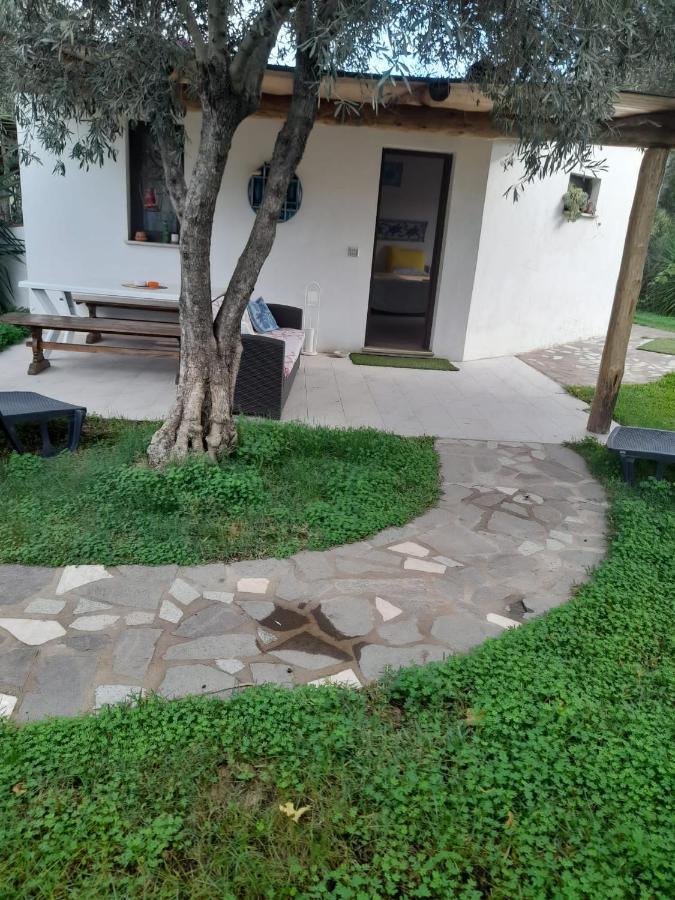 Giardino Del Sole Bed & Breakfast Olbia Dış mekan fotoğraf