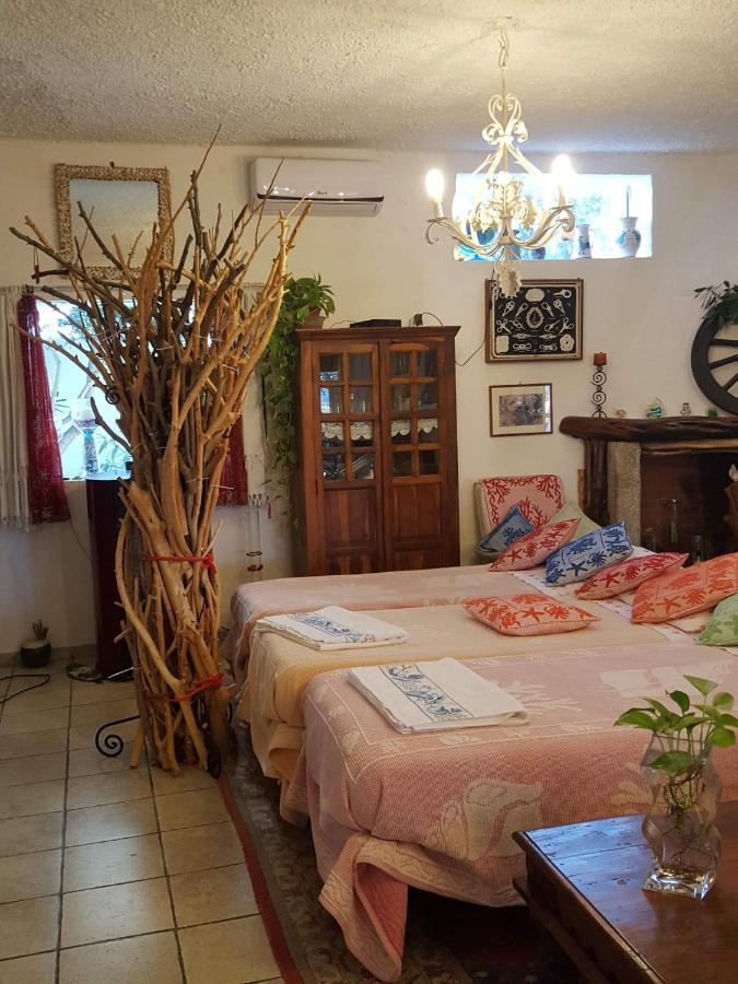 Giardino Del Sole Bed & Breakfast Olbia Dış mekan fotoğraf
